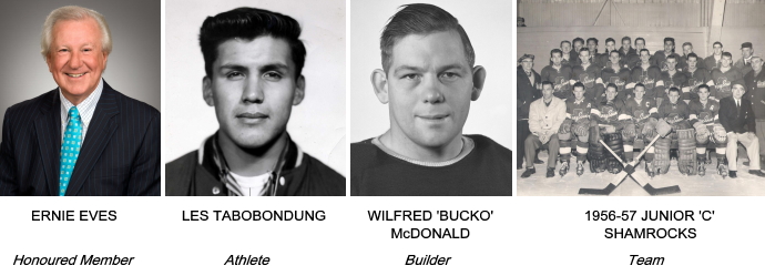 Bobby Orr Hall of Fame 2015 Inductees (Doug McCann - Councillor - Report)