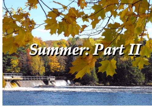 Doug McCann - Council Report - Summer Part (Two) II