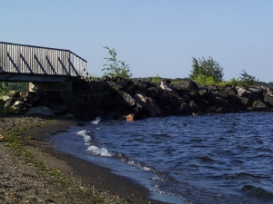 r036.jpg