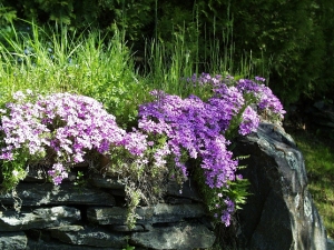 r083.jpg