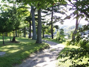 r113.jpg