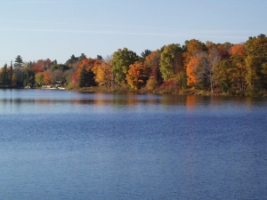 r140.jpg
