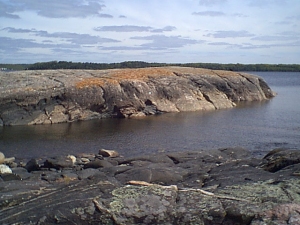 r214.jpg
