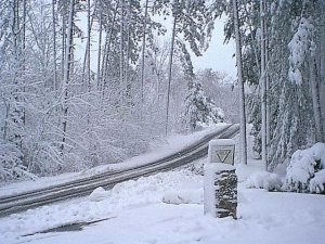 r235.jpg