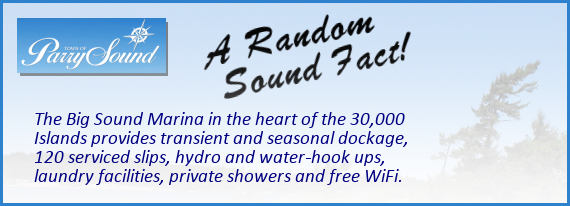 random_sound_fact_26.png